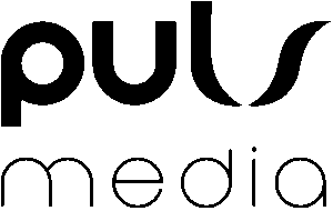 Impressum 1 Logo PulsMedia-Goup als IT-Dienstleister von MAX Holzbau